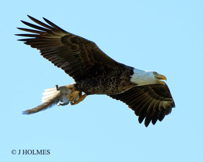 D5H_2845.jpg