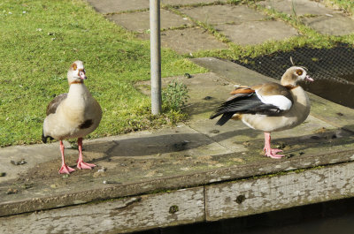 _DSC7858 cs6 ss crop.jpg