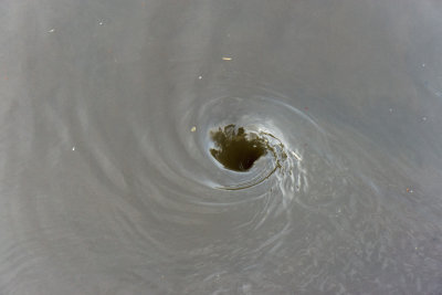 _DSC7892 cs6 ss.jpg
