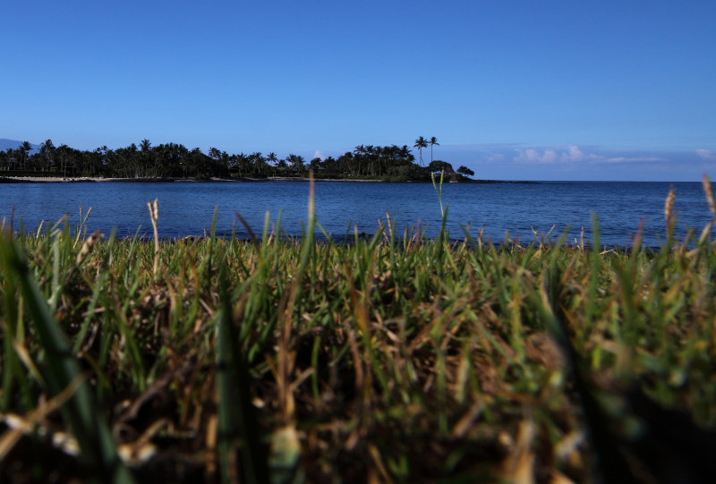 A worms eye view of Pauoa Bay