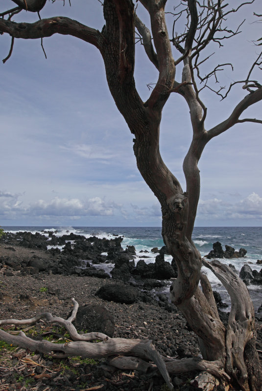 Keanae Peninsula - 5