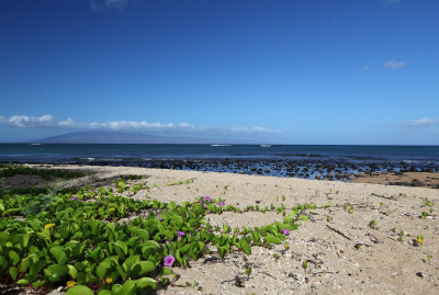 Kahana Beach looking towards Lanai