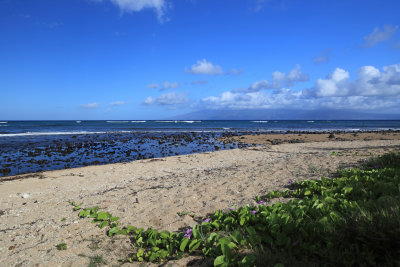 Kahana Beach looking towards Molokai