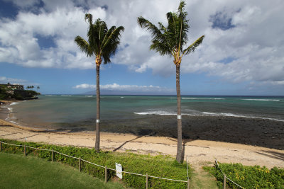 Maui Beachscapes and More