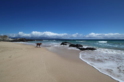 Oneloa Bay beach - 2