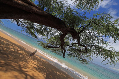 Along the Ka'anapali Beach Walk