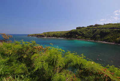 Honolua Bay