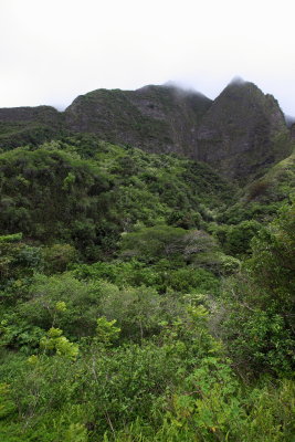 Iao Valley view