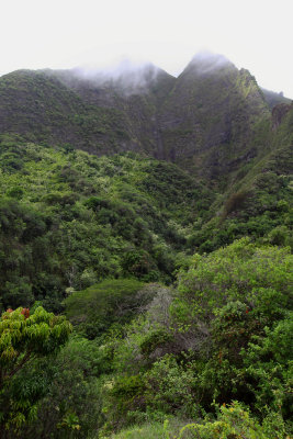 Mountains rising into the mist