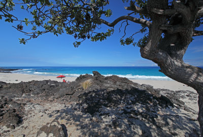 Manini'owali Beach (aka Kua Bay)