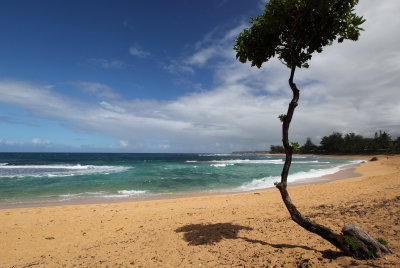 Looking east from the trail to the beach