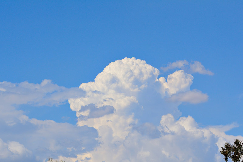 D75_0338.jpg