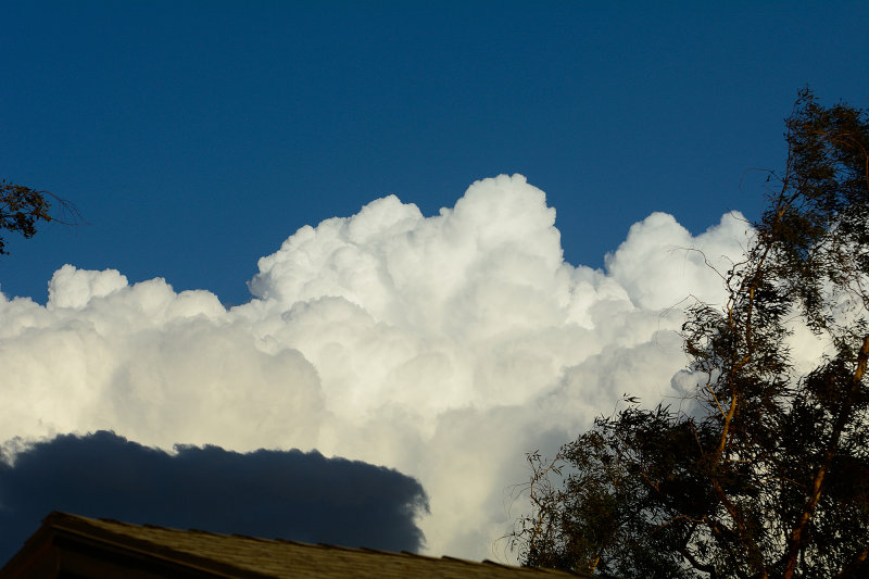 D75_0355.jpg