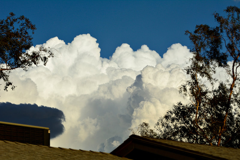 D75_0356.jpg