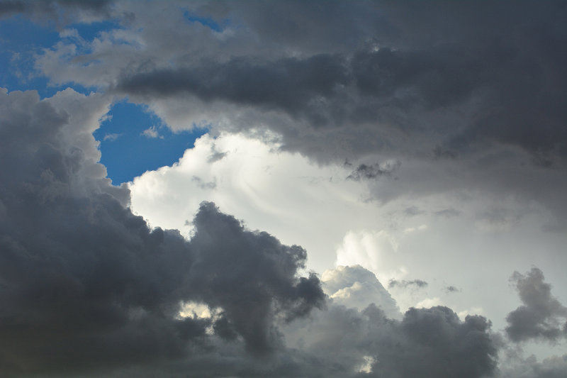 D75_0357.jpg