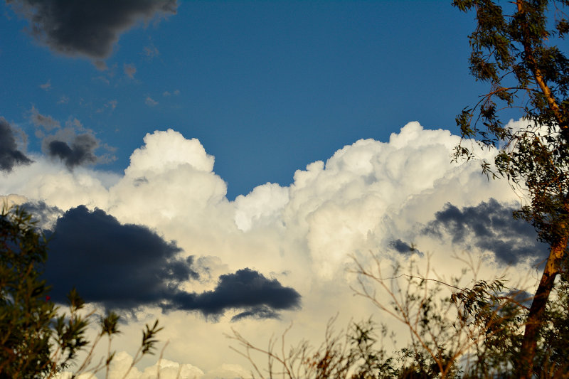D75_0358.jpg