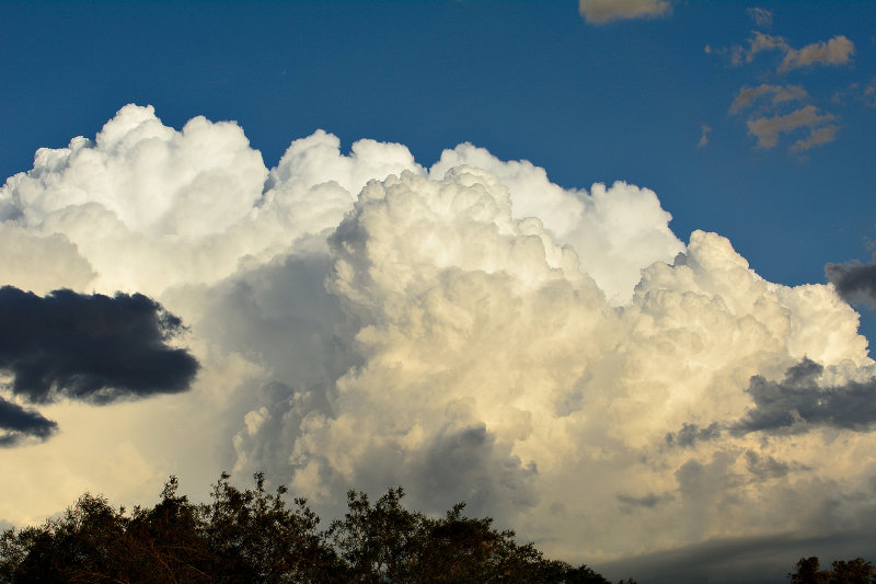 D75_0359.jpg