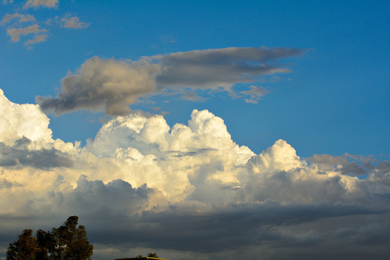 D75_0360.jpg