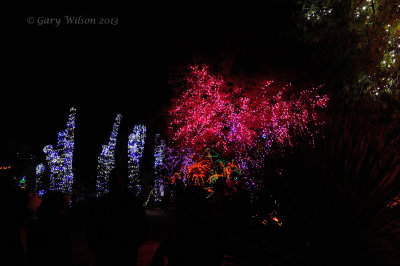 Zoolights