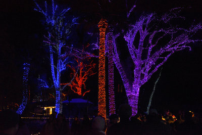 Zoolights 2015