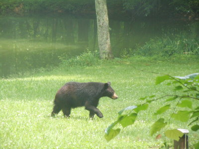 DSCN2026.JPG