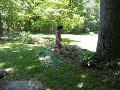 DSCN2405.JPG