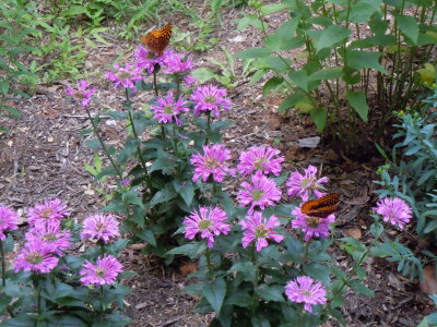 DSCN2416.JPG