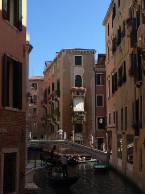 IMG_0781.JPG
