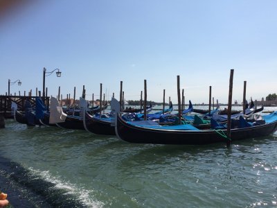 IMG_0784.JPG