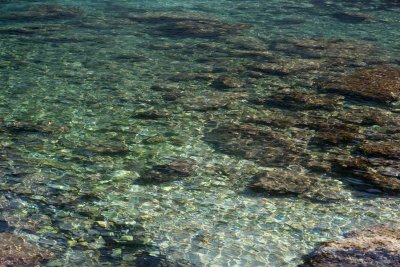 In the swim again