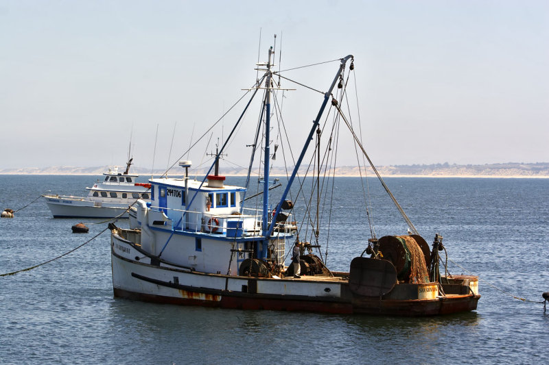 IMG_4570.jpg
