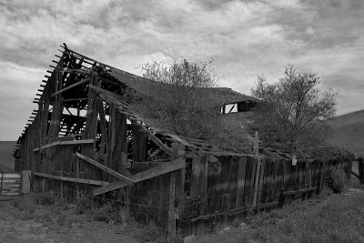 IMG_1319-02BW.jpg