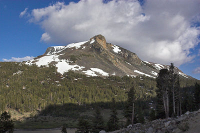 IMG_3501-01.jpg
