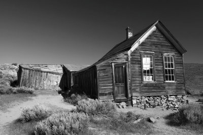 IMG_3532BW.jpg