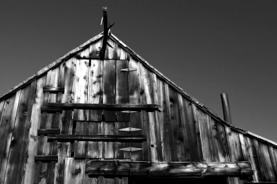 IMG_3604BW.jpg