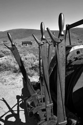 IMG_3613BW.jpg
