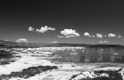 IMG_3792BW.jpg