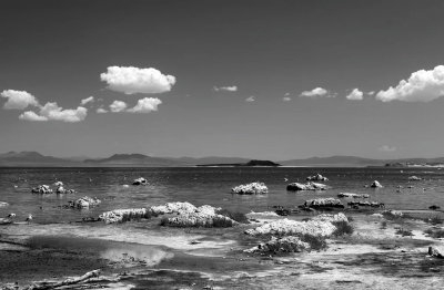 IMG_3795BW.jpg