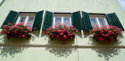 Blumenschmuck.jpg