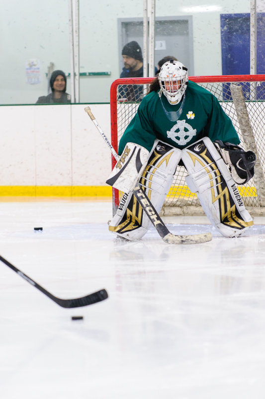 bnft_hcky-3.jpg