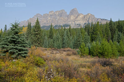 Banff NP