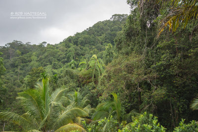 view from martins lodge