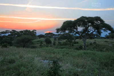 Arusha NP. Tanzania