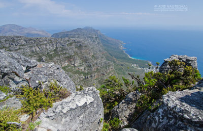 View from Table Mountain