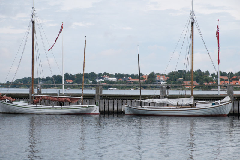 Roskilde2013-9735.jpg