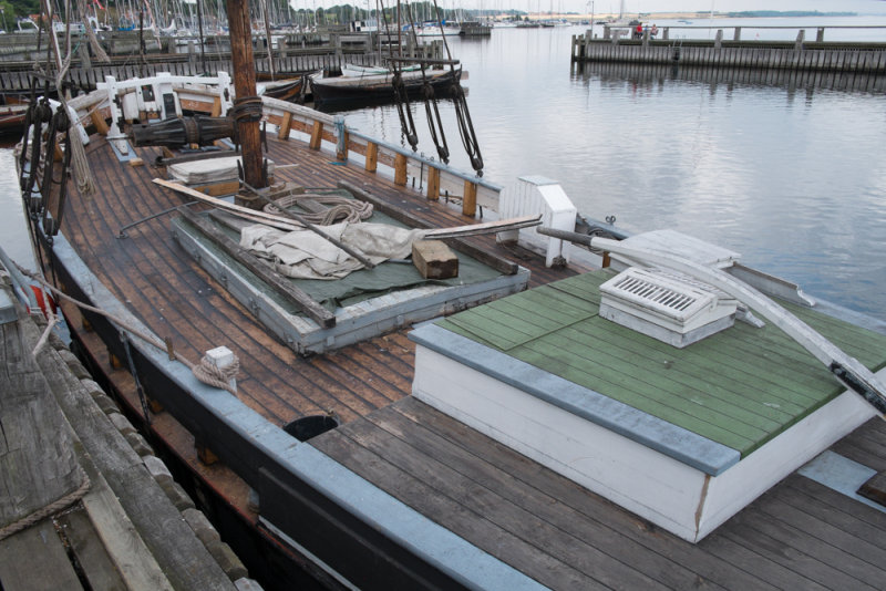 Roskilde2013-9750.jpg