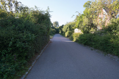 Aeblehegnet-15.jpg
