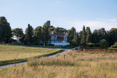 Aeblehegnet-07.jpg