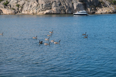 Bohuslan_Coast-64.jpg