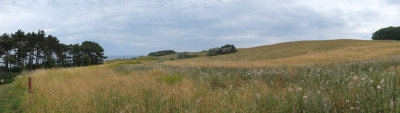 Kalundborg-29.jpg